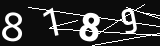 verifycode